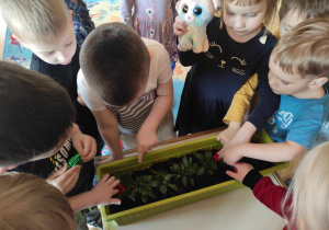Dzieci oglądają zasadzone kwiaty w doniczce