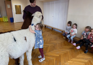Dziewczynka przytula się do alpaki