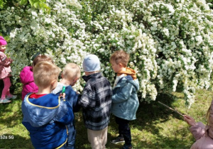Dzieci przez lupę oglądają rośliny