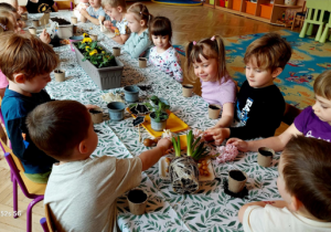 Dzieci sadzą w małą doniczkę cebulkę