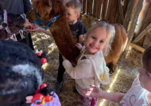 Dziewczynka stoi przytulona do alpaki