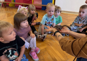 Dzieci oglądają z bliska zwierzątko - lotopałankę