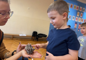 Chłopiec głaszcze lotopałnankę