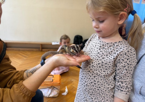Dziewczynka głaszcze zwierzątko