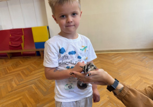 Chłopiec głaszcze zwierzątko - lotopałankę