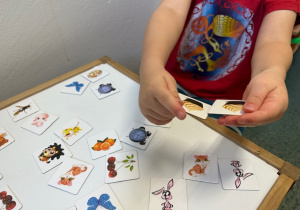 Dziecko odszukuje parę takich samych elementów