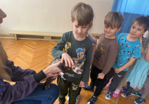 Chłopiec głaszcze zwierzątko fretkę