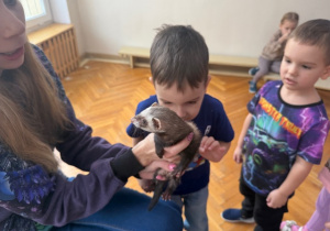 Chłopiec głaszcze fretkę po futerku