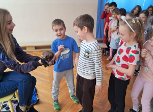 Warsztaty ze zwierzętami "Fretka"