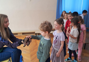 Chłopiec głaszcze fretkę