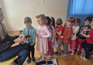 Chłopiec z bliska ogląda zwierzątko fretkę