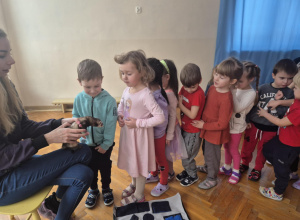 Warsztaty edukacyjne ze zwierzętami "Fretka"