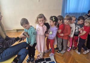 Chłopiec głaszcze fretkę