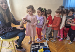 Dziewczynka głaszcze fretkę