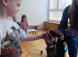 Warsztaty edukacyjne ze zwierzętami "Fretka".