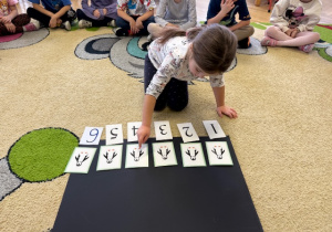 Dziewczynka przelicza pingwiny i układa cyfry pod kartonikiem